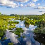 Image Bassin du Congo