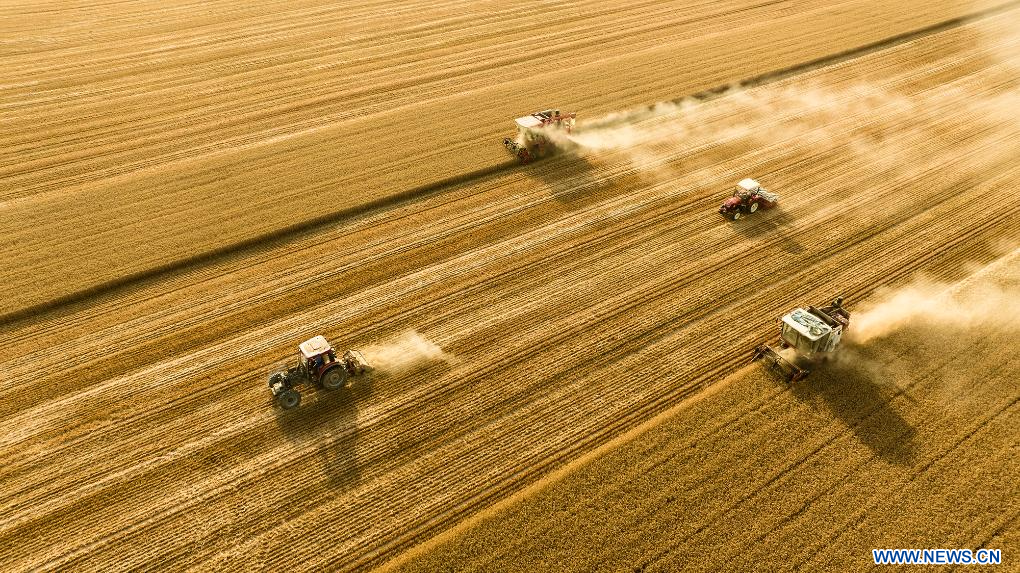 Image Chine Céréale