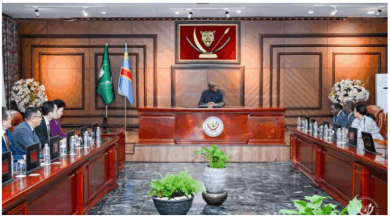 Image RDC Délegation Chine