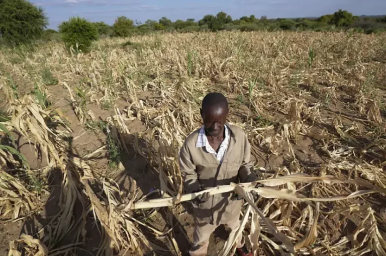 Image Rapport sécheresse