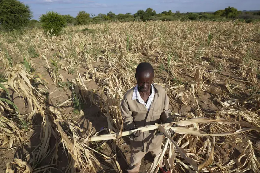 Image Rapport sécheresse