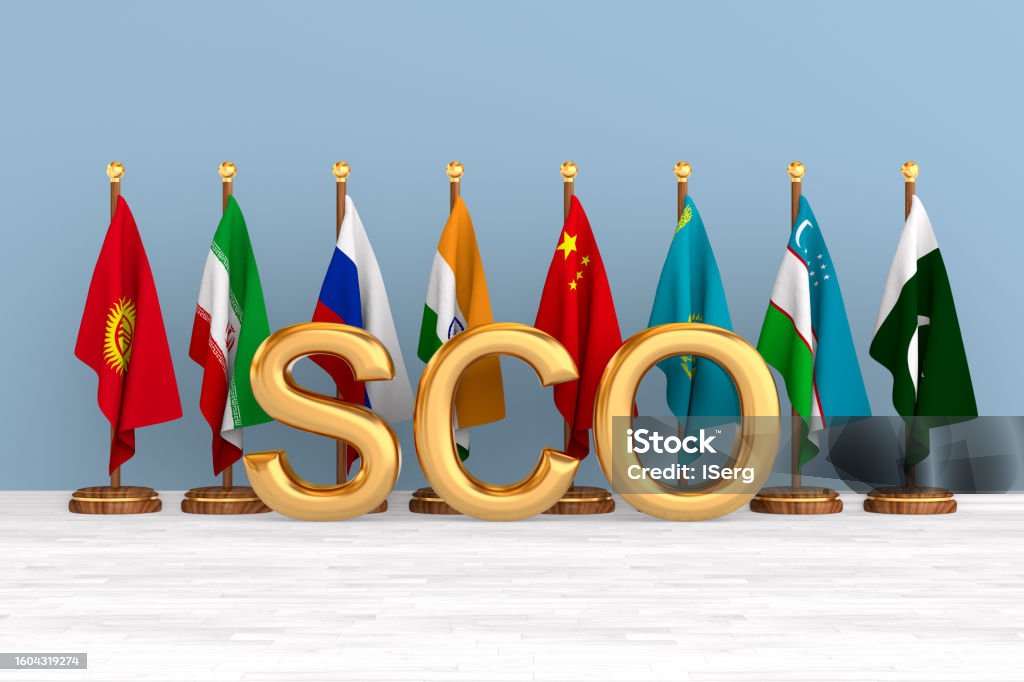 flag shanghai cooperation organisation. 3D illustration