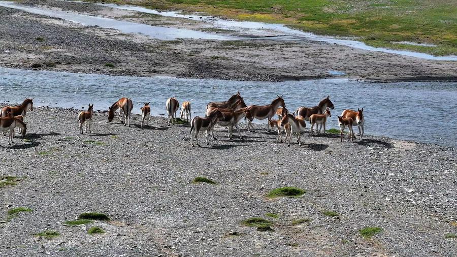 Çàº££º½¨Éè¹ú¼Ò¹«Ô°ÊØ»¤ÖÐ»ªË®Ëþ£¨1£©