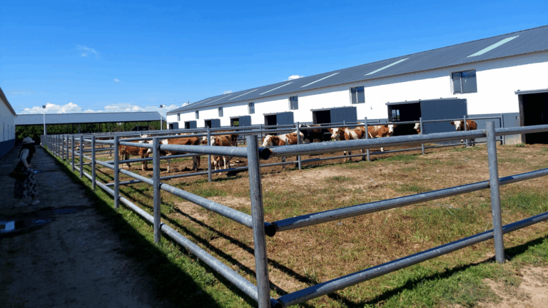 Image Chine village Mongolie