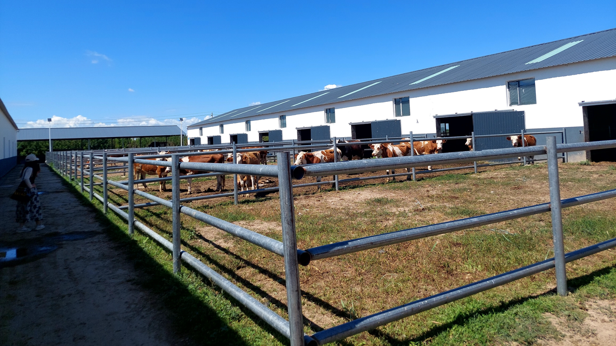 Image Chine village Mongolie