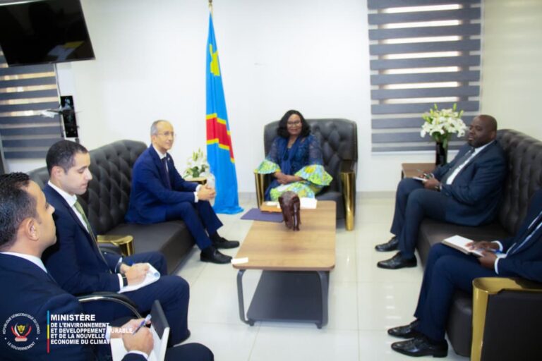 Image Egypte RDC MEDNEC