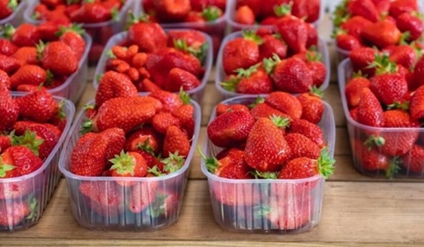 Image Egypte industrie alimentaire