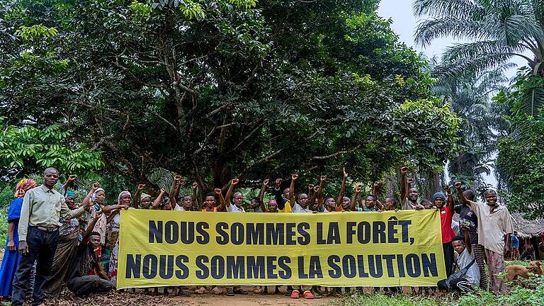 Image Greenpeace Lokolama