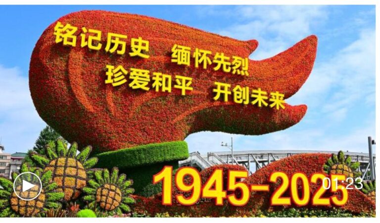 WhatsApp Image 2025-08-25 at 22.59.39