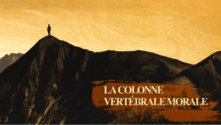 Chine Colone vertebrale