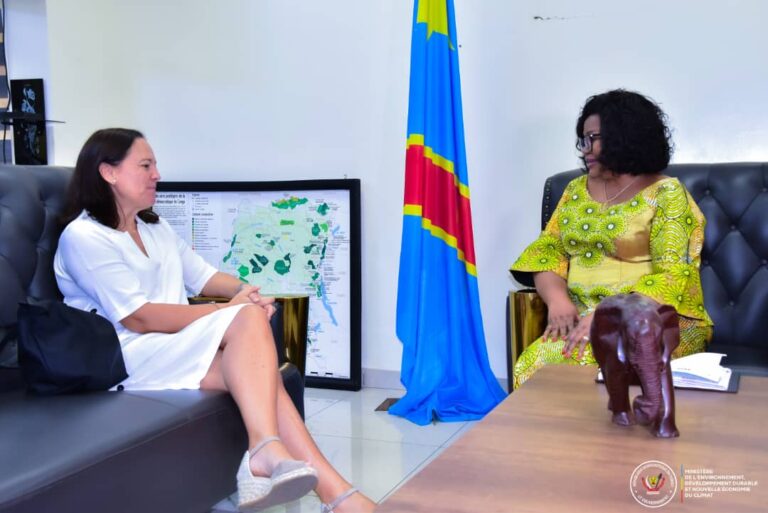 WhatsApp Image 2025-09-04 at 15.34.21