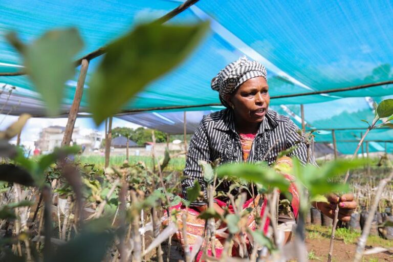 ETHIOPIA-CHINA-AU-AGRICULTURAL TECHNOLOGY-PARTNERSHIP