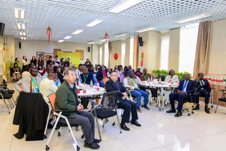 WhatsApp Image 2025-10-28 at 20.46.50