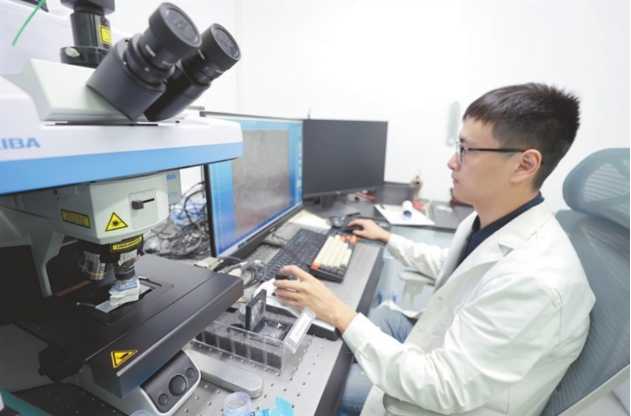 Global Times banques genes céramique