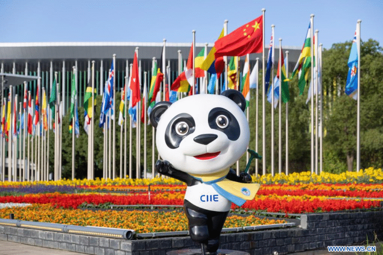 Image Chine CIIE clôture