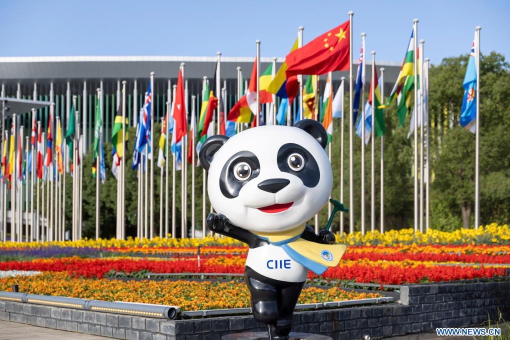 Image Chine CIIE clôture