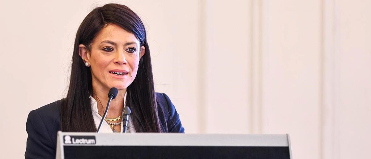 Image Egypte Ministre planification