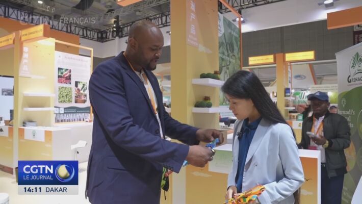 WhatsApp Image 2025-11-10 at 11.45.41