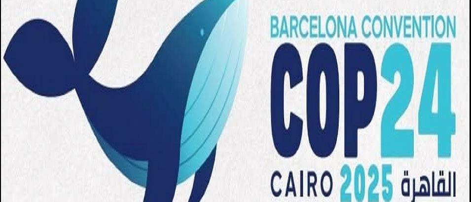 Image Egypte Convention de Barcelone