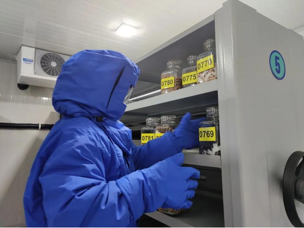 Quotidien du peuple Shanghai