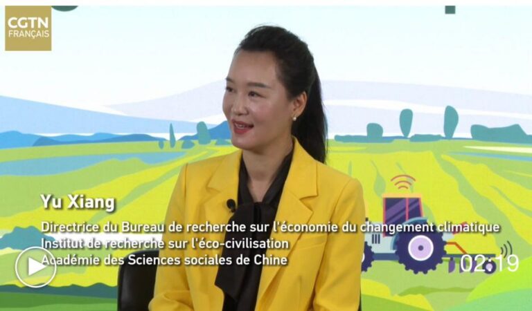 WhatsApp Image 2025-12-24 at 10.10.43