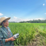 Quotidien du peuple drone grand mère