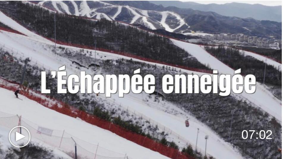 WhatsApp Image 2026-02-07 at 09.24.48