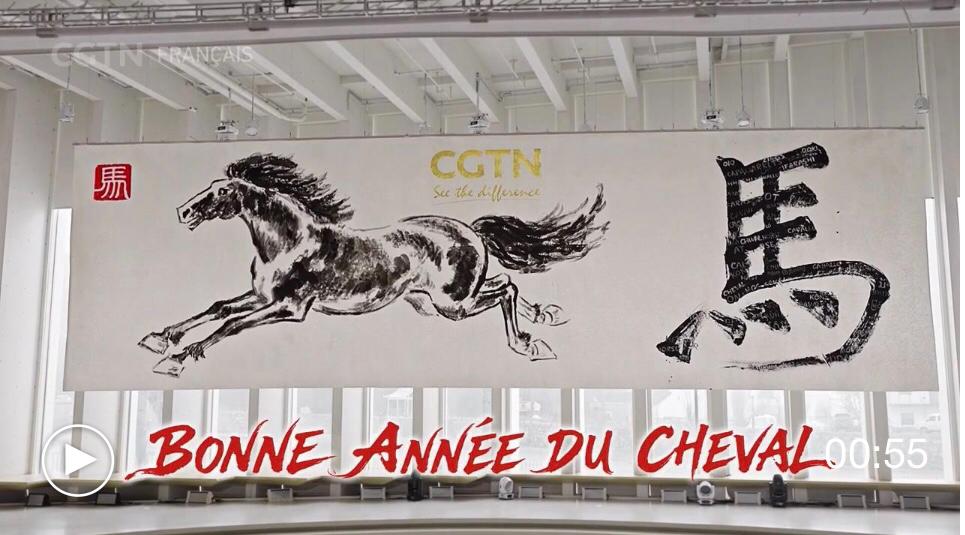 WhatsApp Image 2026-02-09 at 09.12.44