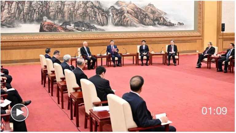 WhatsApp Image 2026-02-12 at 12.10.32