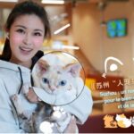 WhatsApp Image 2026-02-14 at 11.21.19