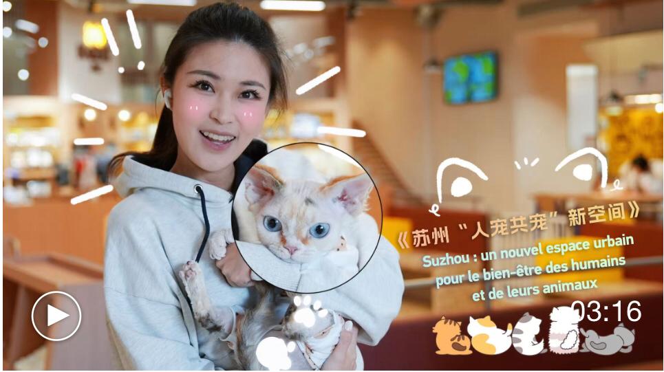 WhatsApp Image 2026-02-14 at 11.21.19