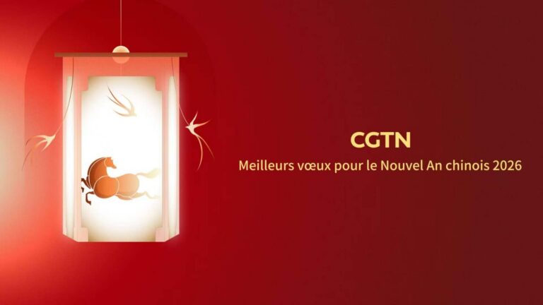 WhatsApp Image 2026-02-16 at 05.16.14