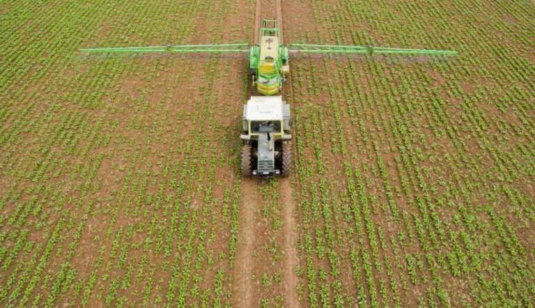 WhatsApp Image 2026-02-23 at 19.32.21