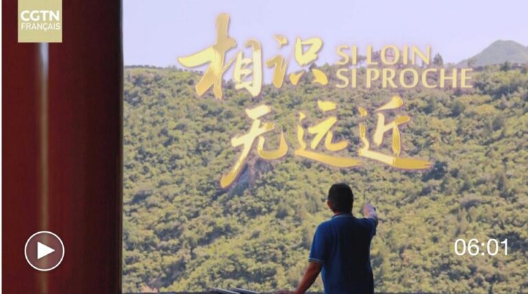 WhatsApp Image 2026-03-15 at 15.54.04