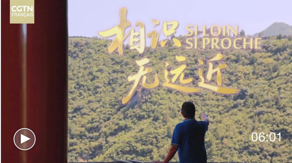 WhatsApp Image 2026-03-15 at 15.54.04