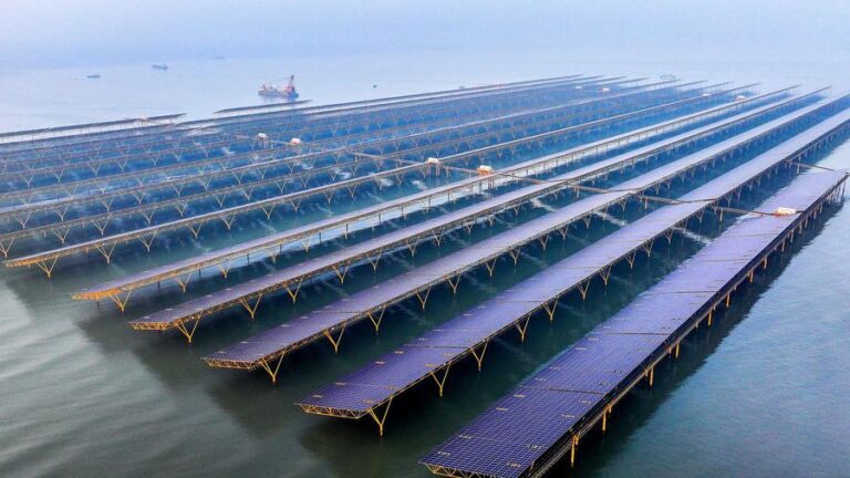 Image Chine protection marine