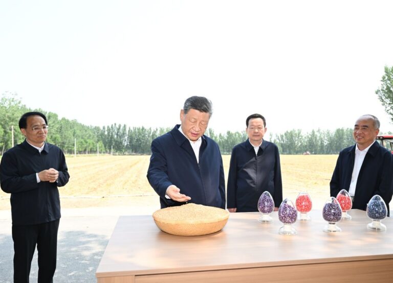 Image Xi agriculture