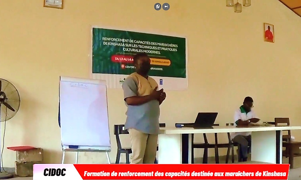 Cidoc renforcement des capacités
