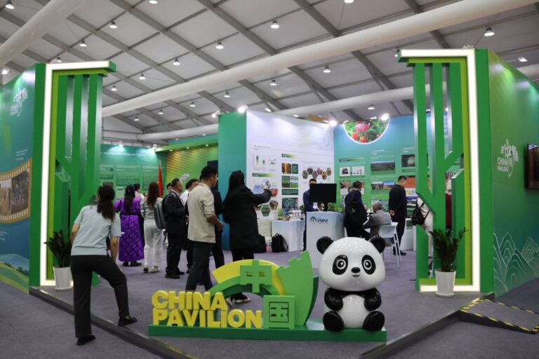Image Chine COP 17
