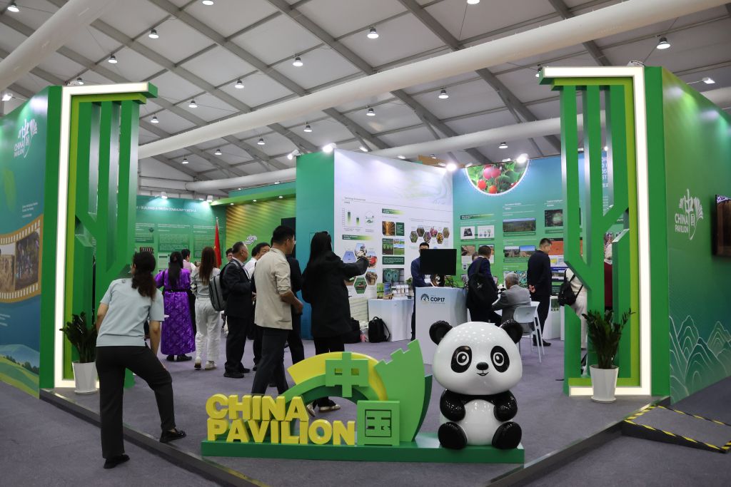 Image Chine COP 17