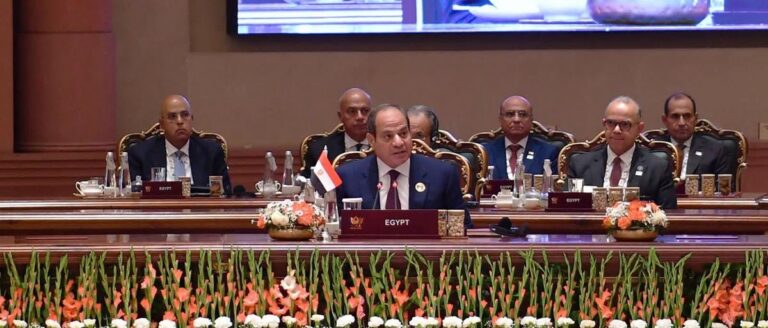 Image Egypte Sisi discours BRICS 2026