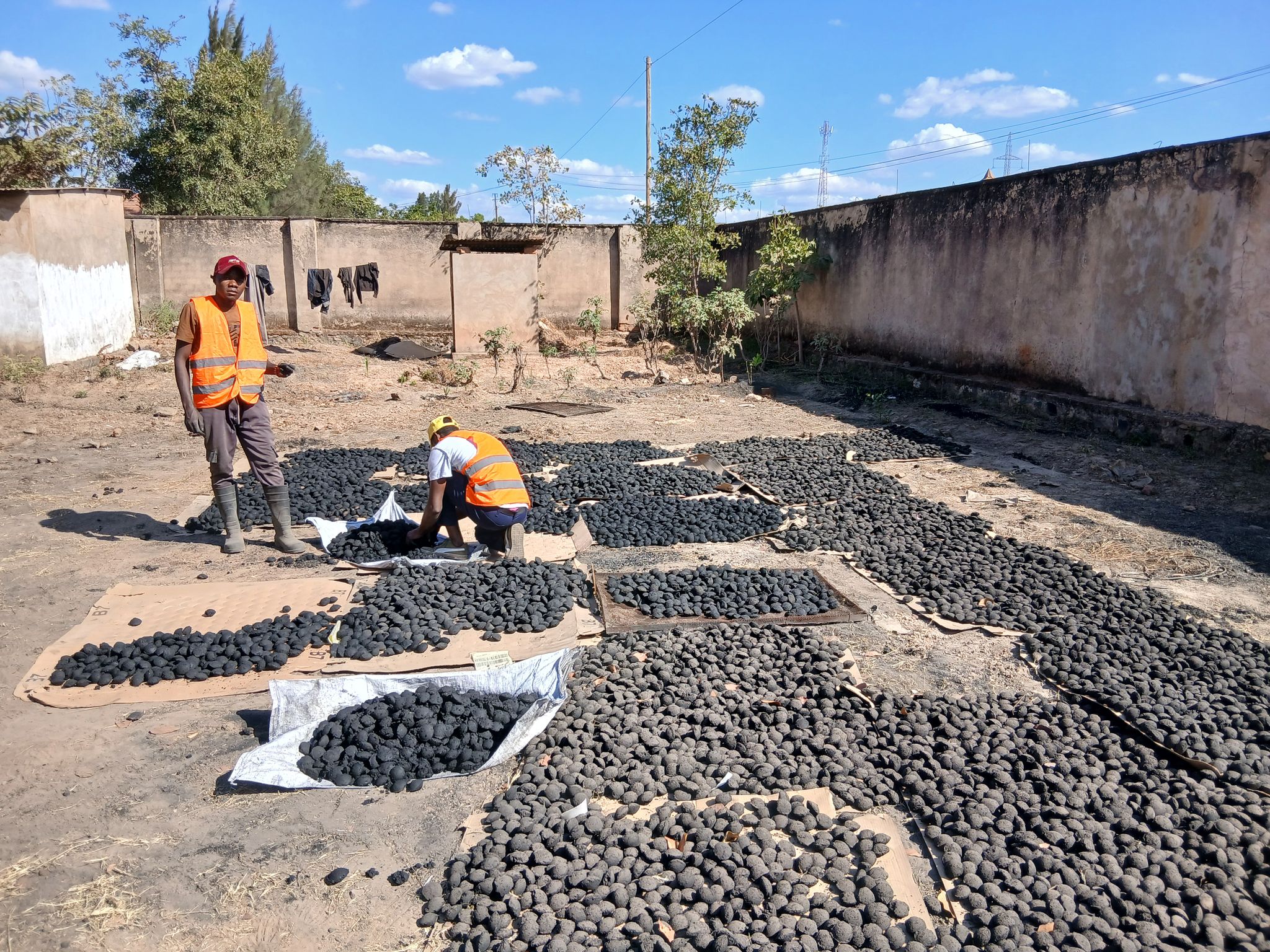 RDC : des déchets transformés en charbon écologique